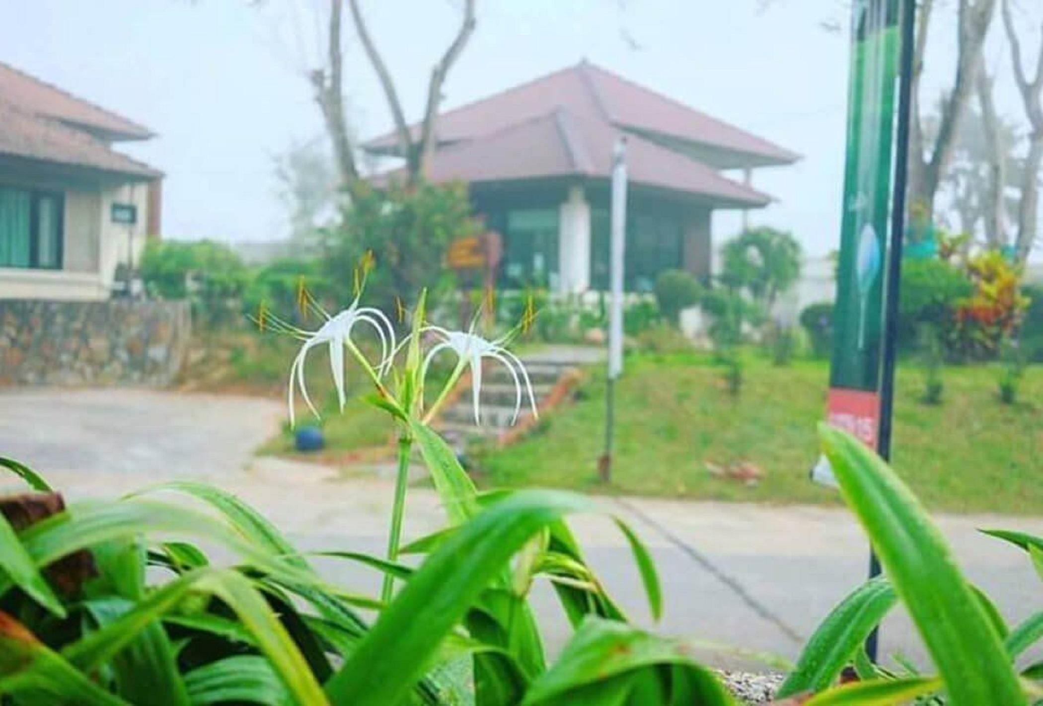 Pattaya Country Club & Resort Ban Pong  Ngoại thất bức ảnh